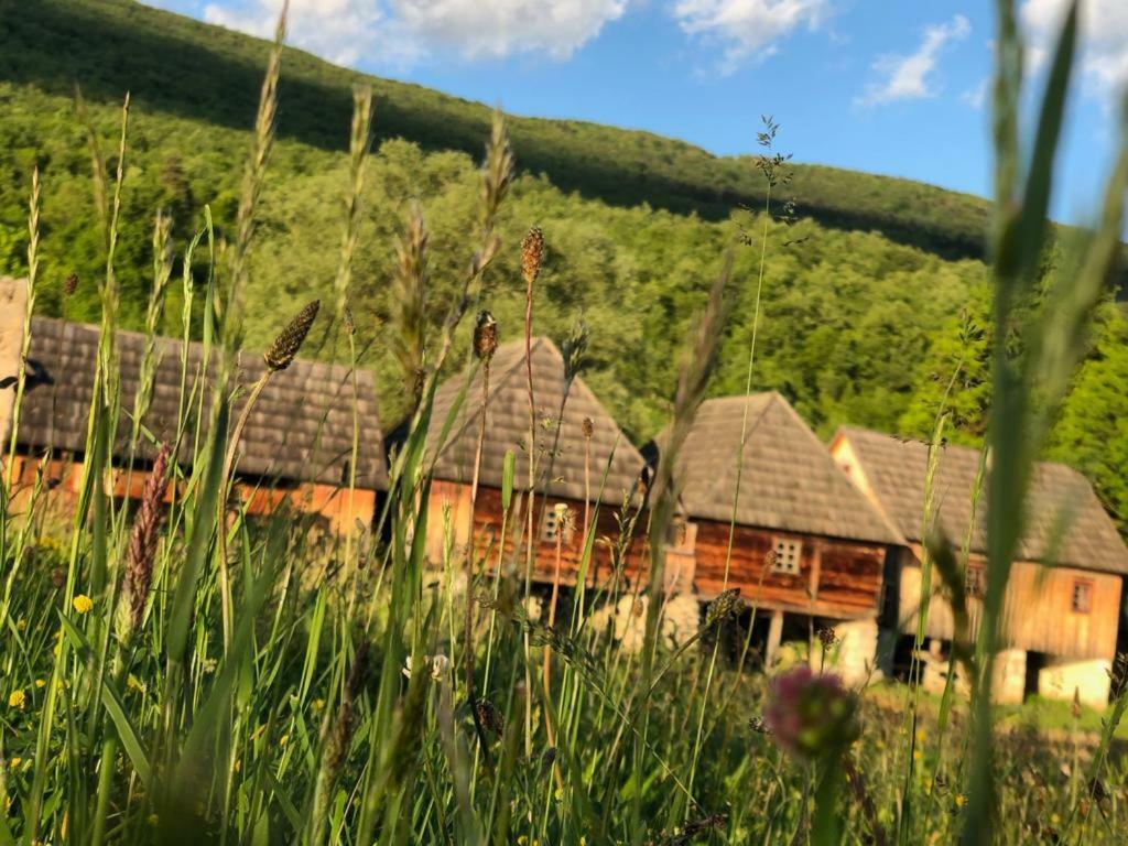 Apartman Danijela Оточац Экстерьер фото