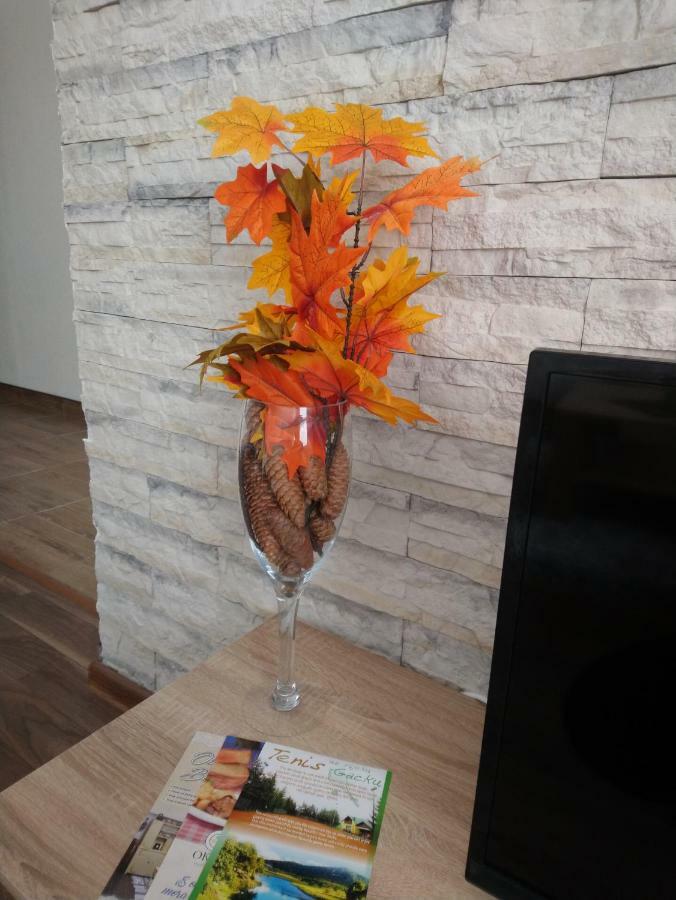 Apartman Danijela Оточац Экстерьер фото
